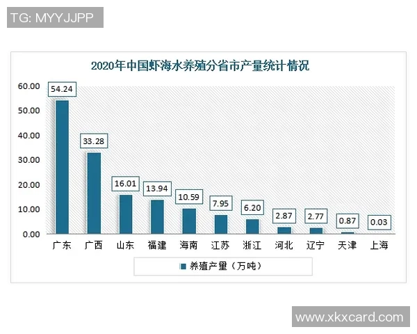 广州飞盘队的灵活性探讨与发展前景分析